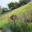 왕지공원 이미지