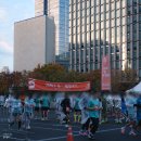 와우모텔 | 2025 MBN 서울마라톤 구경 다녀온 후기 🏃🏻 (하프 기록을 곁들인)