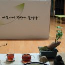 조은자리 이미지