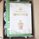 해바라기의꿈 | 청주 원예치료 청주 원예체험 해바라기의꿈 원예키트 집에서 화분만들기 후기