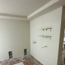 응암애견 이미지