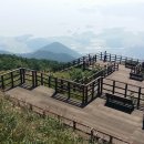 금오산진교전망대 이미지