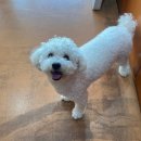 도기캠프 이미지