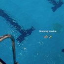 플로우데이 이미지