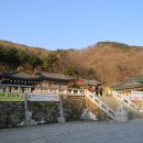 사천 상55호(비4호) | 늦겨울 산사 나들이, 금색 와불상과 우담바라를 간직한 오래된 절집 ~ 의왕 청계산 청계사