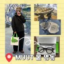 명동 | Muut 명동 방문 후기 및 안경 , 선글라스 제품 추천