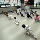 경희대 국가대표 신동태권도장 이미지