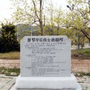 충신의사단비 이미지