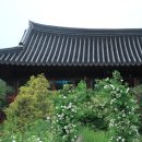 너른마당1