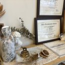 티룸동백 이미지