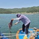 만미식품 이미지