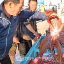 저도 대문어축제 이미지