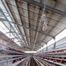 안내삼승로 이미지