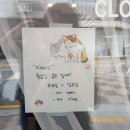 나니스쇼콜라 이미지