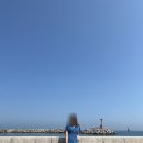 [디올 북토트 스몰 플랑 드 파리] 본드 이슈로 인한 교환 후기