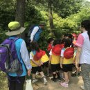 애플B유치원 이미지