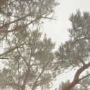 팔도강산성읍1리복지타운 | 2019년1월18~19일 제주여행