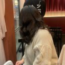 필헤어라인 이미지