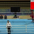 엘리트 충남종합복싱체육관 이미지