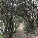 토산2리 이미지