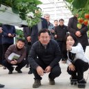 진흥농장 이미지