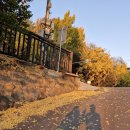 루프탑치킨스카이 이미지