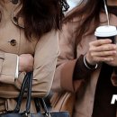 전국퇴비