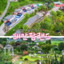 태안팜랜드 네이버블로그