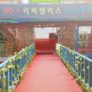리버팰리스 이미지