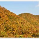 환산로 Daum카페