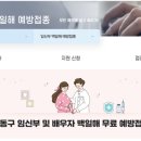 의회사무국 | 29주 임산부 백일해 접종 후기 (성동구 무료 접종)