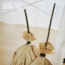 마녀빗자루