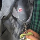 닥터코기동물병원 이미지