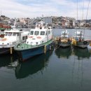 부산카메라 Daum카페