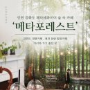 카페 서로서로 | 강화도 숲카페 여전한 핫플 메타포레스트 가볼만 할까...온 내돈내산 솔직 후기ㅣ주차,메뉴,이용방법...