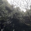 다영목장 이미지