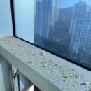 데시앙크리닝 이미지