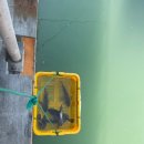 훼밀리호 이미지