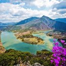 구름다리주유소 이미지