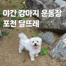 달뜨레