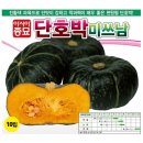 씨앗 이미지