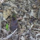 역사기행 코스 이미지