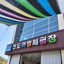 전도갯벌체험장 Daum카페