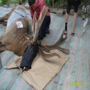 현민농장 이미지