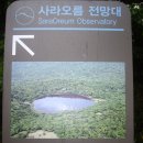 일급수세탁