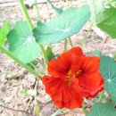 하이디 하우스 이미지