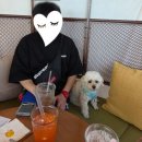 호수공원 희망의동산(제2화장실) | 월미도 오션뷰 강아지동반카페 아르토스희망파티