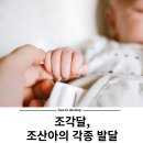 더넥스트아동발달연구소