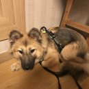 (주)청려원 이미지