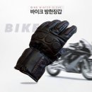 2197 이미지